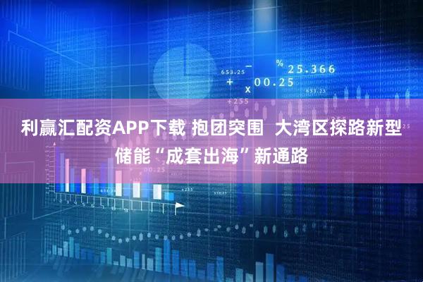 利赢汇配资APP下载 抱团突围  大湾区探路新型储能“成套出海”新通路