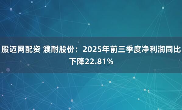 股迈网配资 濮耐股份：2025年前三季度净利润同比下降22.81%