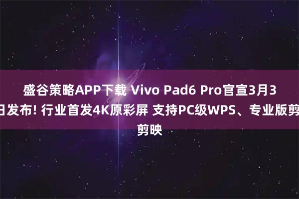 盛谷策略APP下载 Vivo Pad6 Pro官宣3月30日发布! 行业首发4K原彩屏 支持PC级WPS、专业版剪映