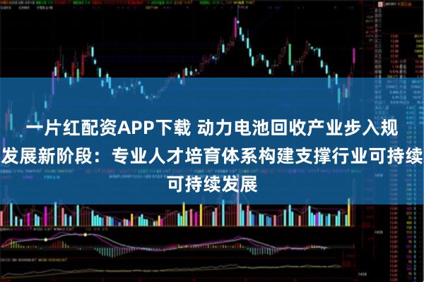 一片红配资APP下载 动力电池回收产业步入规范化发展新阶段：专业人才培育体系构建支撑行业可持续发展